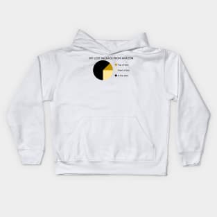 My Lost Package From Amazon Pie Chart Kids Hoodie